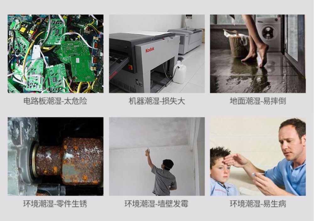 智能91免费网站在线观看