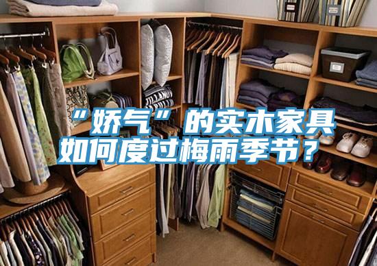 “娇气”的实木家具如何度过梅雨季节？