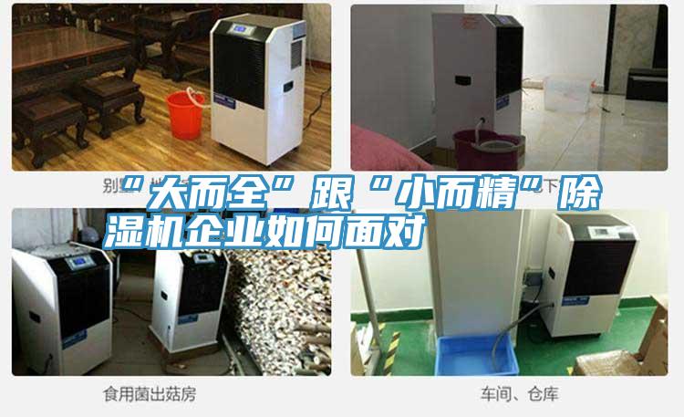 “大而全”跟“小而精”91免费网站在线观看企业如何面对