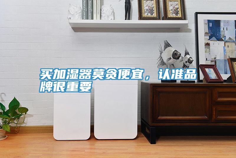 买加湿器莫贪便宜，认准品牌很重要