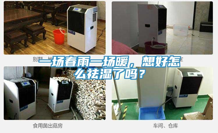 一场春雨一场暖，想好怎么祛湿了吗？