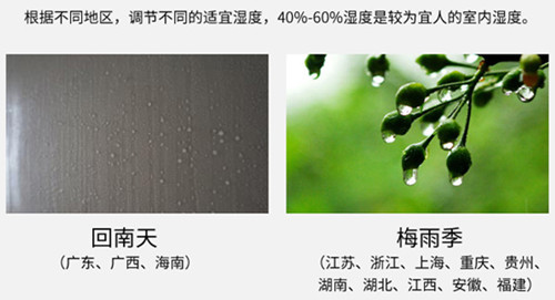 防潮91免费网站在线观看