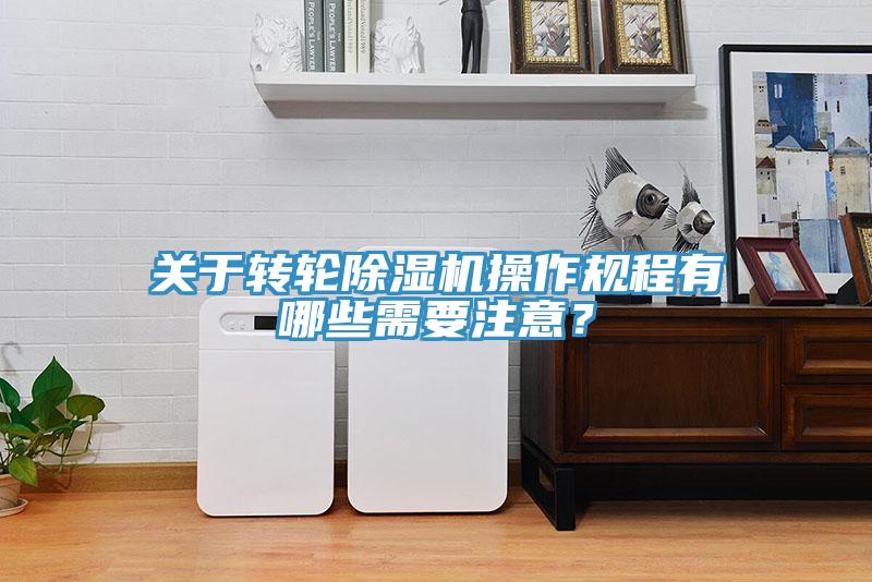 关于转轮91免费网站在线观看操作规程有哪些需要注意？