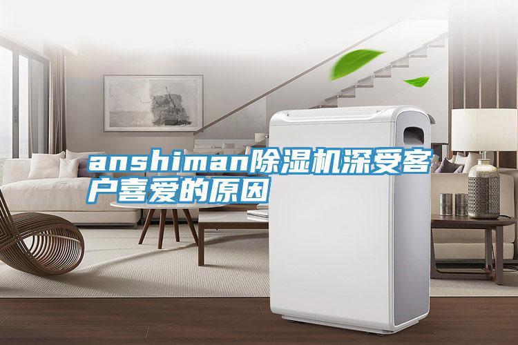 anshiman91免费网站在线观看深受客户喜爱的原因