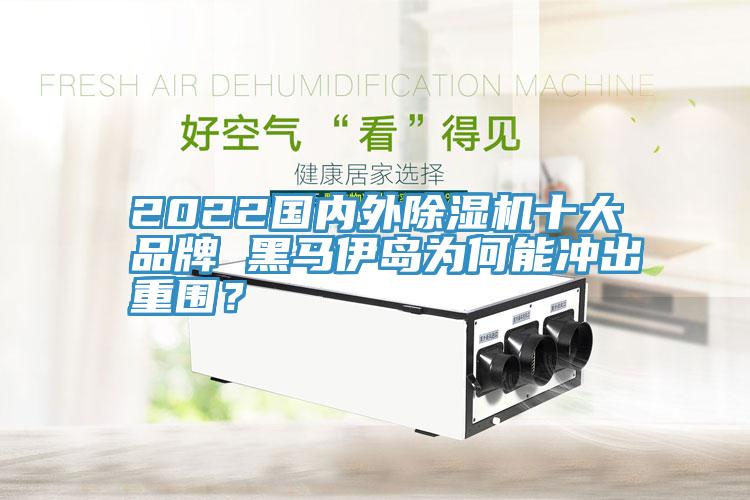 2022国内外91免费网站在线观看十大品牌 黑马伊岛为何能冲出重围？