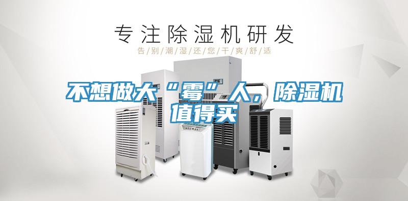 不想做大“霉”人，91免费网站在线观看值得买