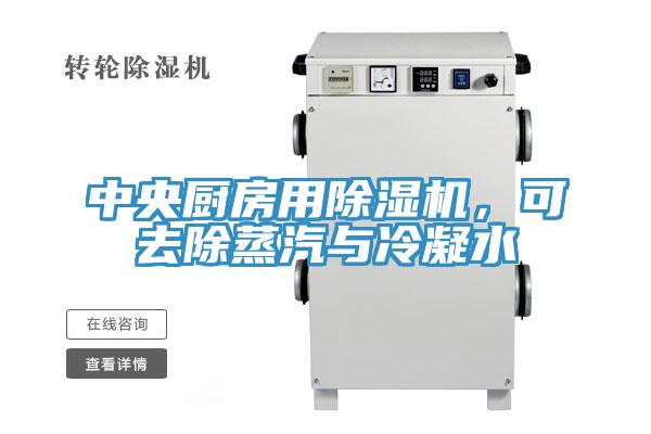 中央厨房用91免费网站在线观看，可去除蒸汽与冷凝水