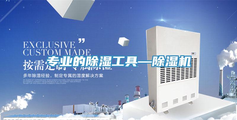 专业的除湿工具—91免费网站在线观看