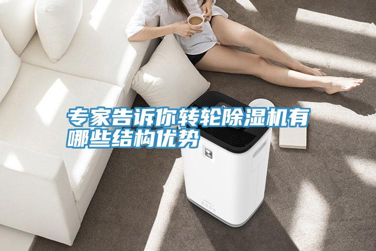 专家告诉你转轮91免费网站在线观看有哪些结构优势