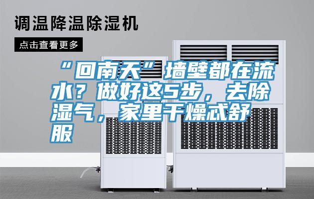 “回南天”墙壁都在流水？做好这5步，去除湿气，家里干燥忒舒服