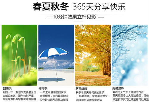 智能91免费网站在线观看