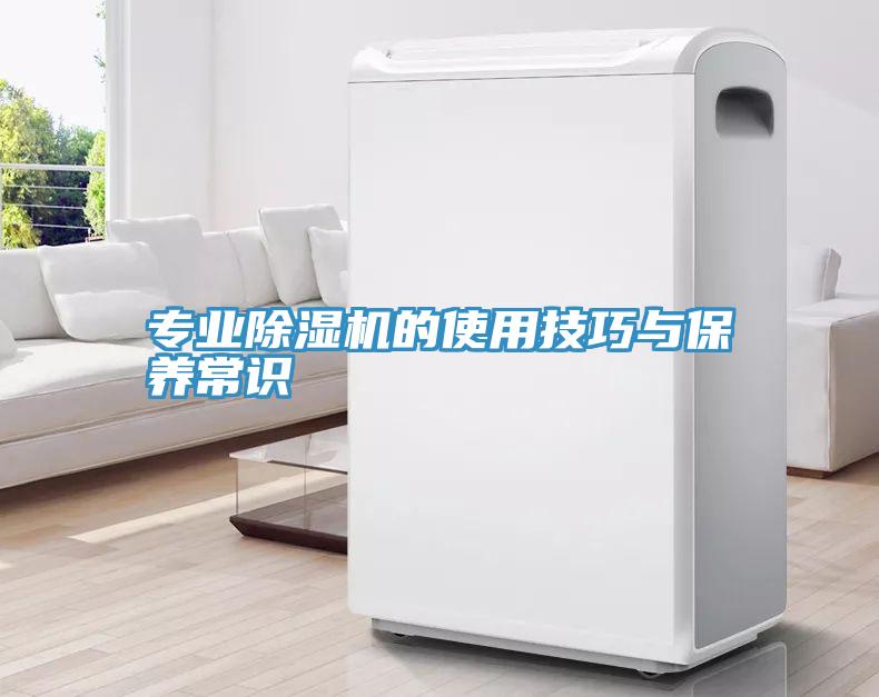专业91免费网站在线观看的使用技巧与保养常识