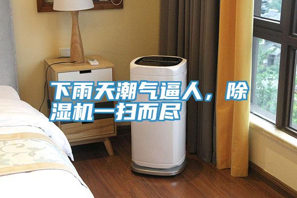 下雨天潮气逼人，91免费网站在线观看一扫而尽