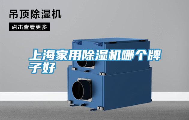 上海家用91免费网站在线观看哪个牌子好