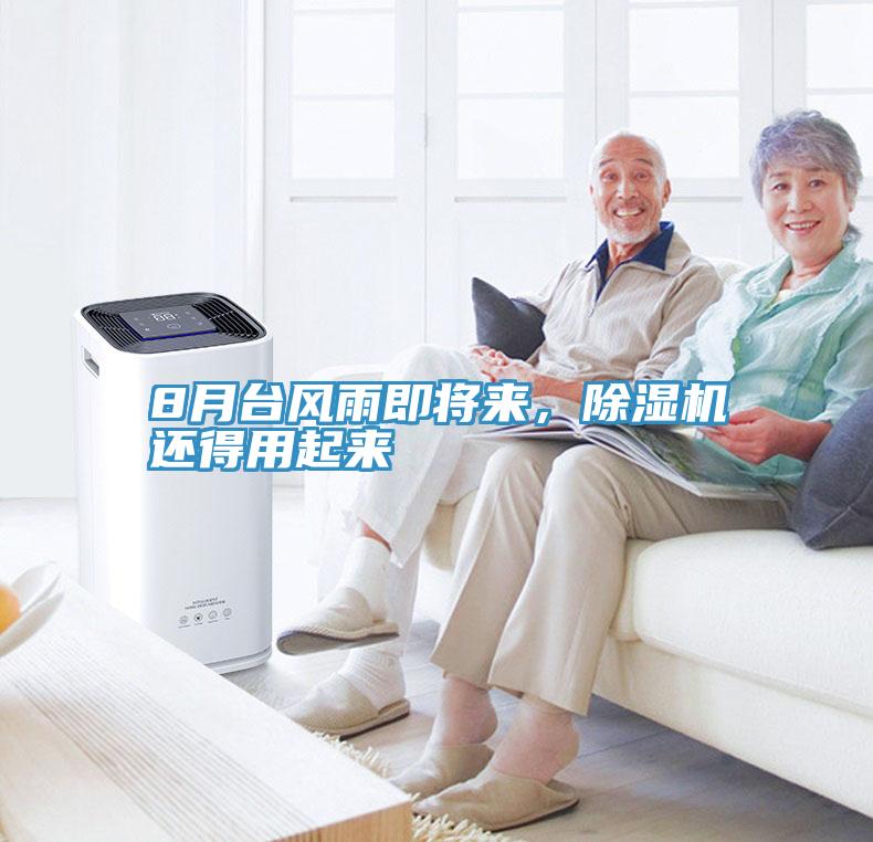 8月台风雨即将来，91免费网站在线观看还得用起来