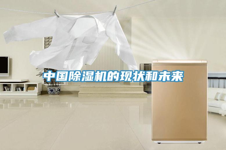 中国91免费网站在线观看的现状和未来