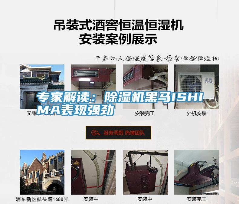 专家解读：91免费网站在线观看黑马ISHIMA表现强劲