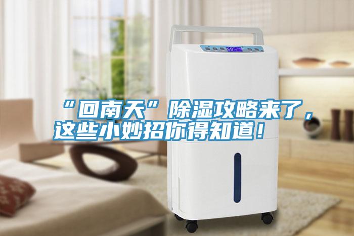 “回南天”除湿攻略来了，这些小妙招你得知道！