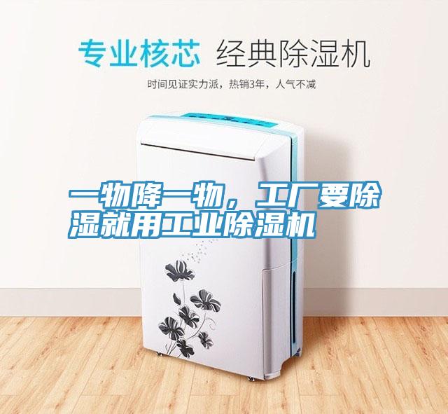 一物降一物，工厂要除湿就用工业91免费网站在线观看