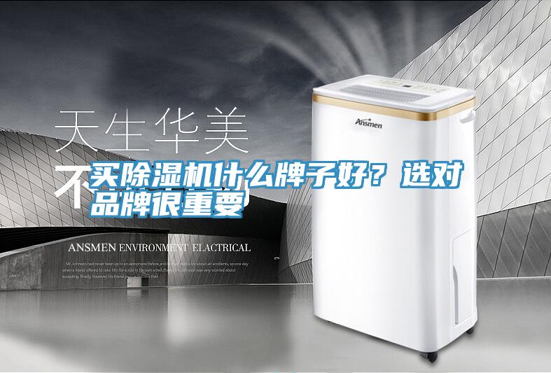 买91免费网站在线观看什么牌子好？选对品牌很重要
