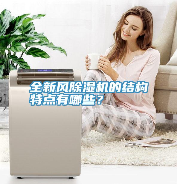 全新风91免费网站在线观看的结构特点有哪些？