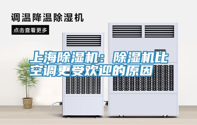 上海91免费网站在线观看：91免费网站在线观看比空调更受欢迎的原因