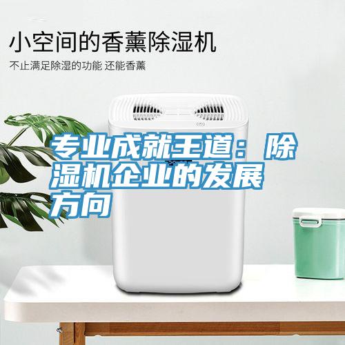专业成就王道：91免费网站在线观看企业的发展方向