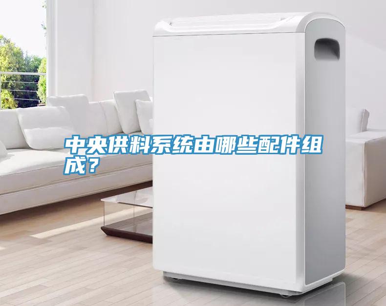 中央供料系统由哪些配件组成？