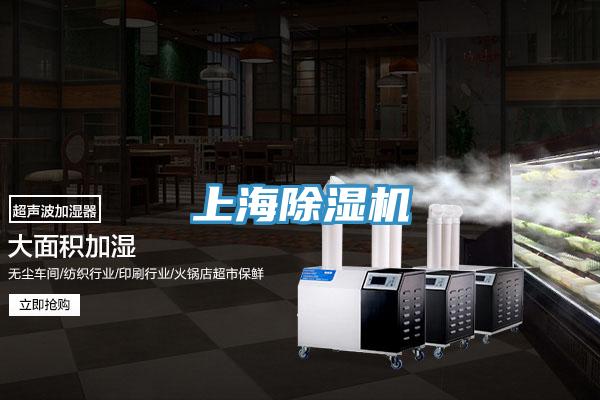 上海91免费网站在线观看
