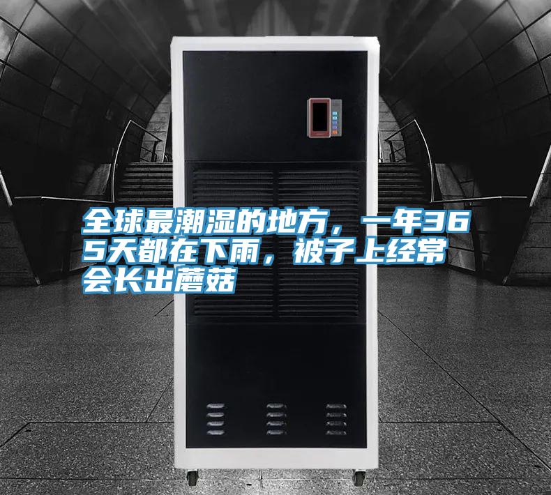 全球最潮湿的地方，一年365天都在下雨，被子上经常会长出蘑菇