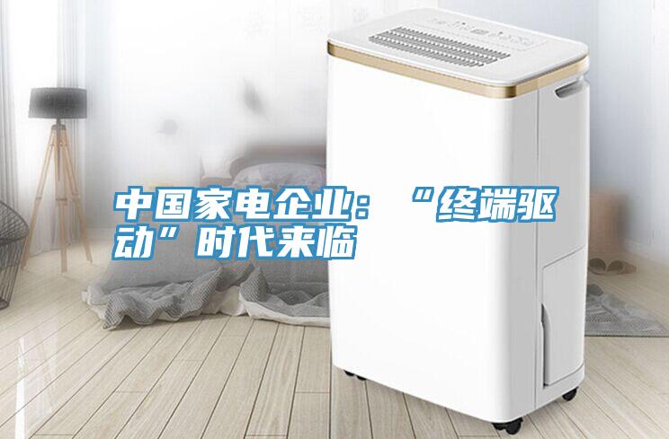 中国家电企业：“终端驱动”时代来临