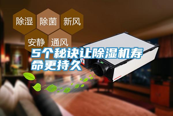 5个秘诀让91免费网站在线观看寿命更持久