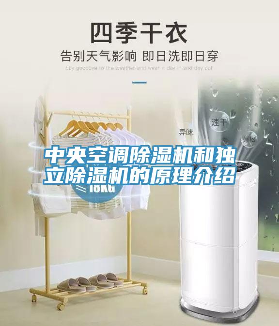中央空调91免费网站在线观看和独立91免费网站在线观看的原理介绍