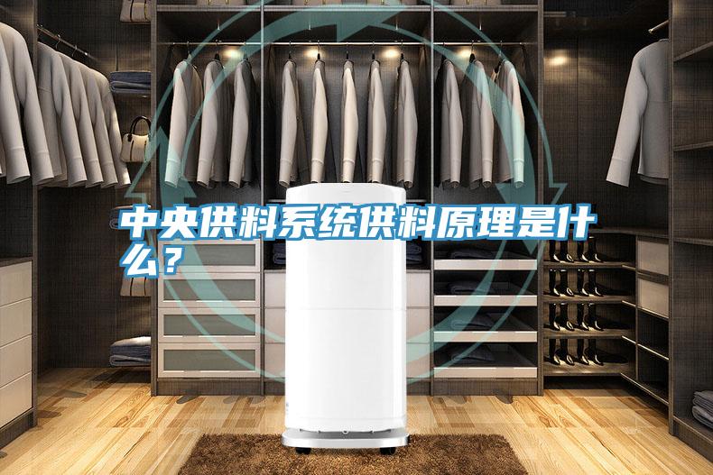 中央供料系统供料原理是什么？