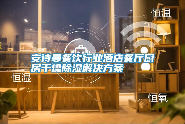 91免费看黄片餐饮行业酒店餐厅厨房干燥除湿解决方案