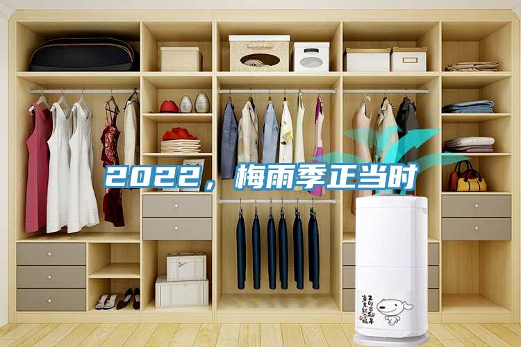 2022，梅雨季正当时