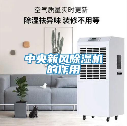 中央新风91免费网站在线观看的作用