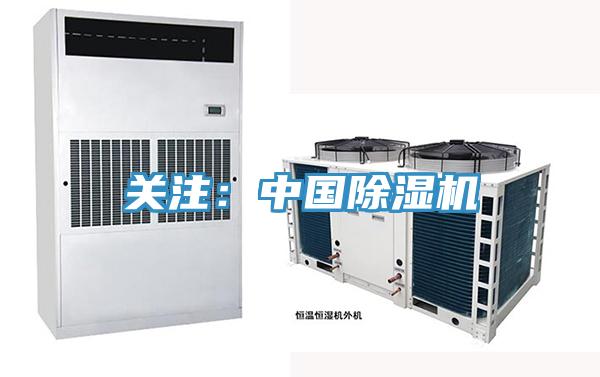 关注：中国91免费网站在线观看