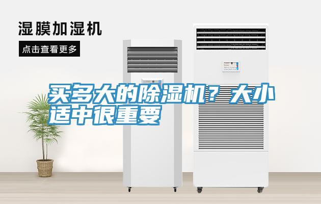买多大的91免费网站在线观看？大小适中很重要