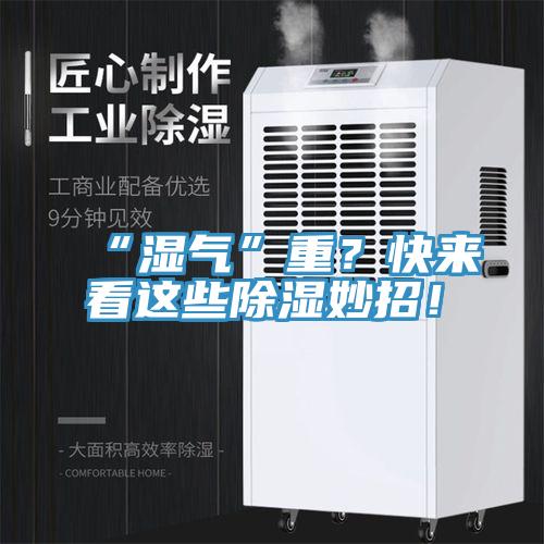 “湿气”重？快来看这些除湿妙招！