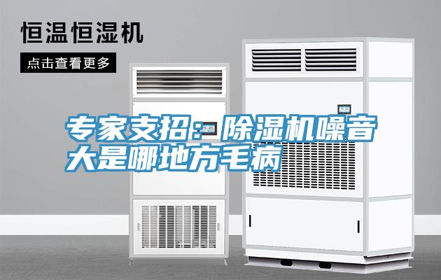专家支招：91免费网站在线观看噪音大是哪地方毛病