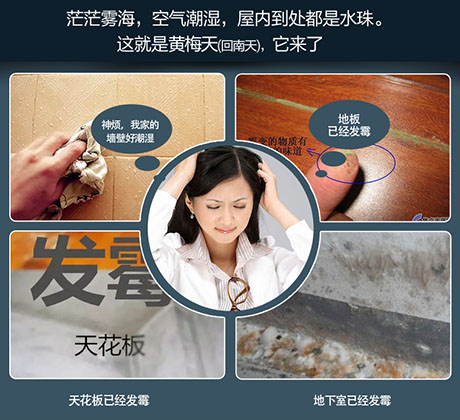 家庭别墅的地下室、卫生间、储物室等该如何除湿？