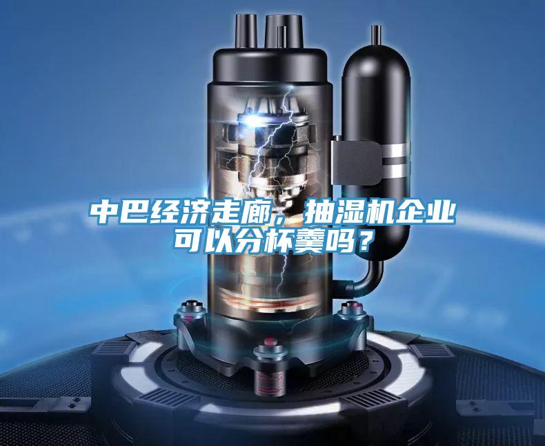 中巴经济走廊，抽湿机企业可以分杯羹吗？