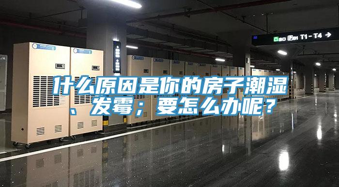 什么原因是你的房子潮湿、发霉；要怎么办呢？