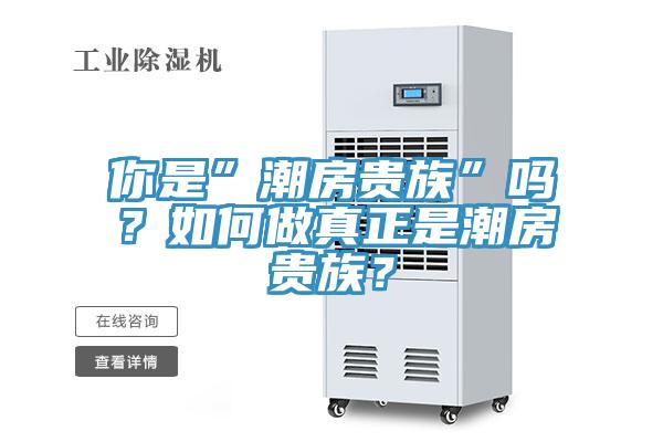 你是”潮房贵族”吗？如何做真正是潮房贵族？