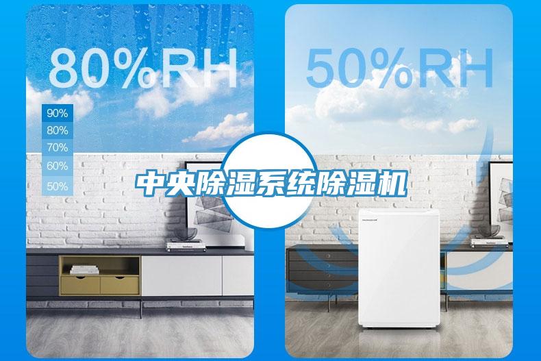 中央除湿系统91免费网站在线观看