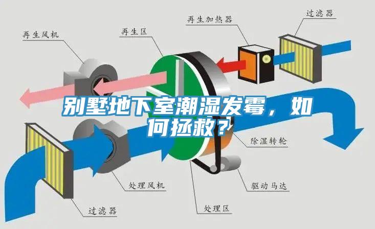 别墅地下室潮湿发霉，如何拯救？