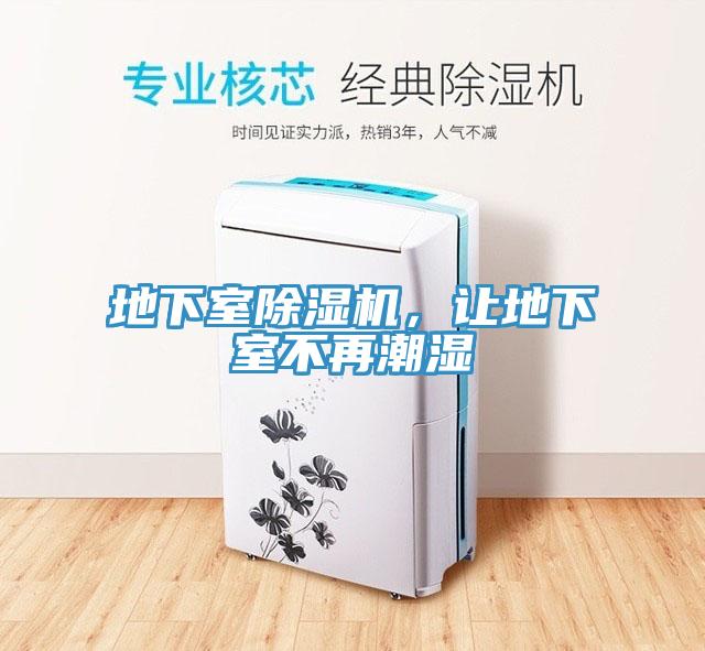 地下室91免费网站在线观看，让地下室不再潮湿