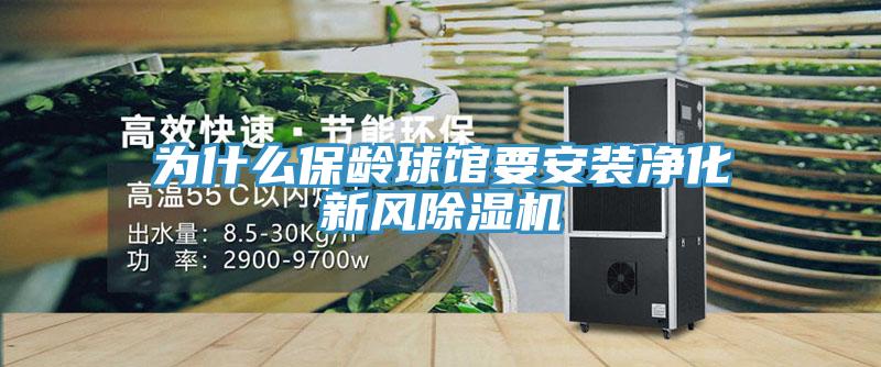 为什么保龄球馆要安装净化新风91免费网站在线观看