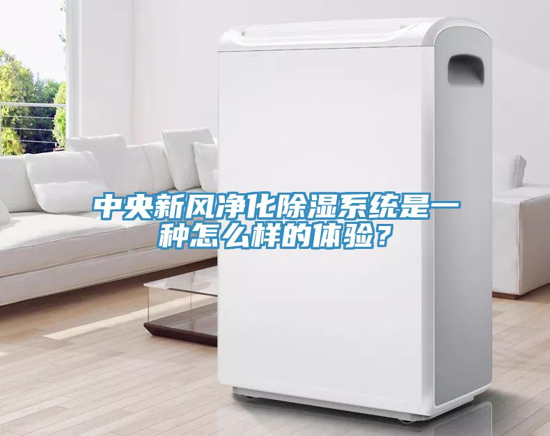 中央新风净化除湿系统是一种怎么样的体验？